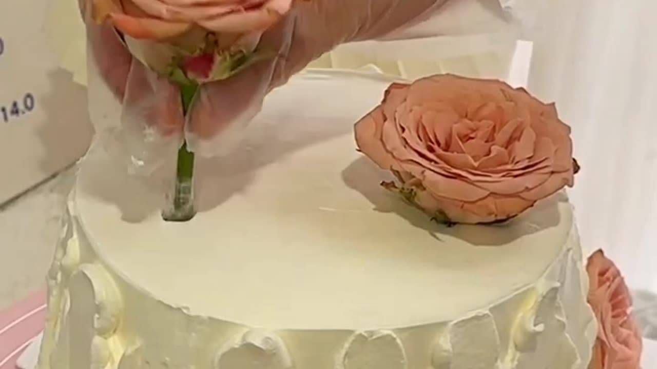 Hype Cake