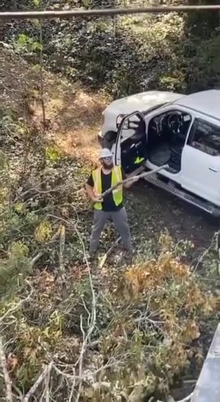 Chewchew - He seems fun🤣🤣🤣