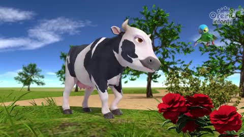 cow maru