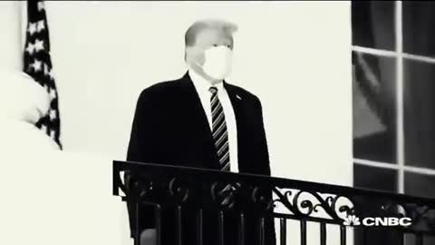 Trump The Lion