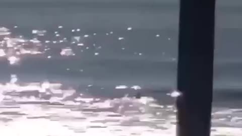 WEST COAST WARSHIPS!