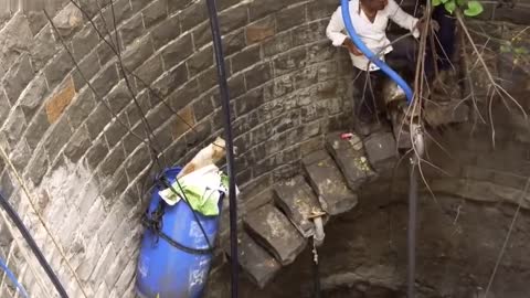 Terrified dog rescued from 85-feet-deep well after five days in western India