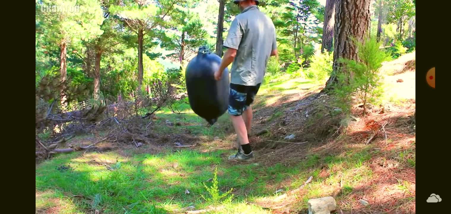 Lamb trains on a punching bag.