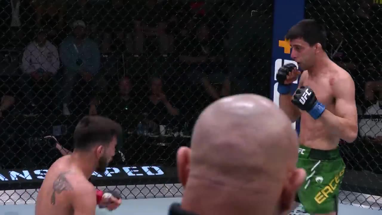 UFC: THE BEST FINISHES OF 2024.... so far!