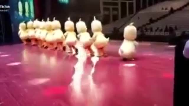 Cute duck dancer