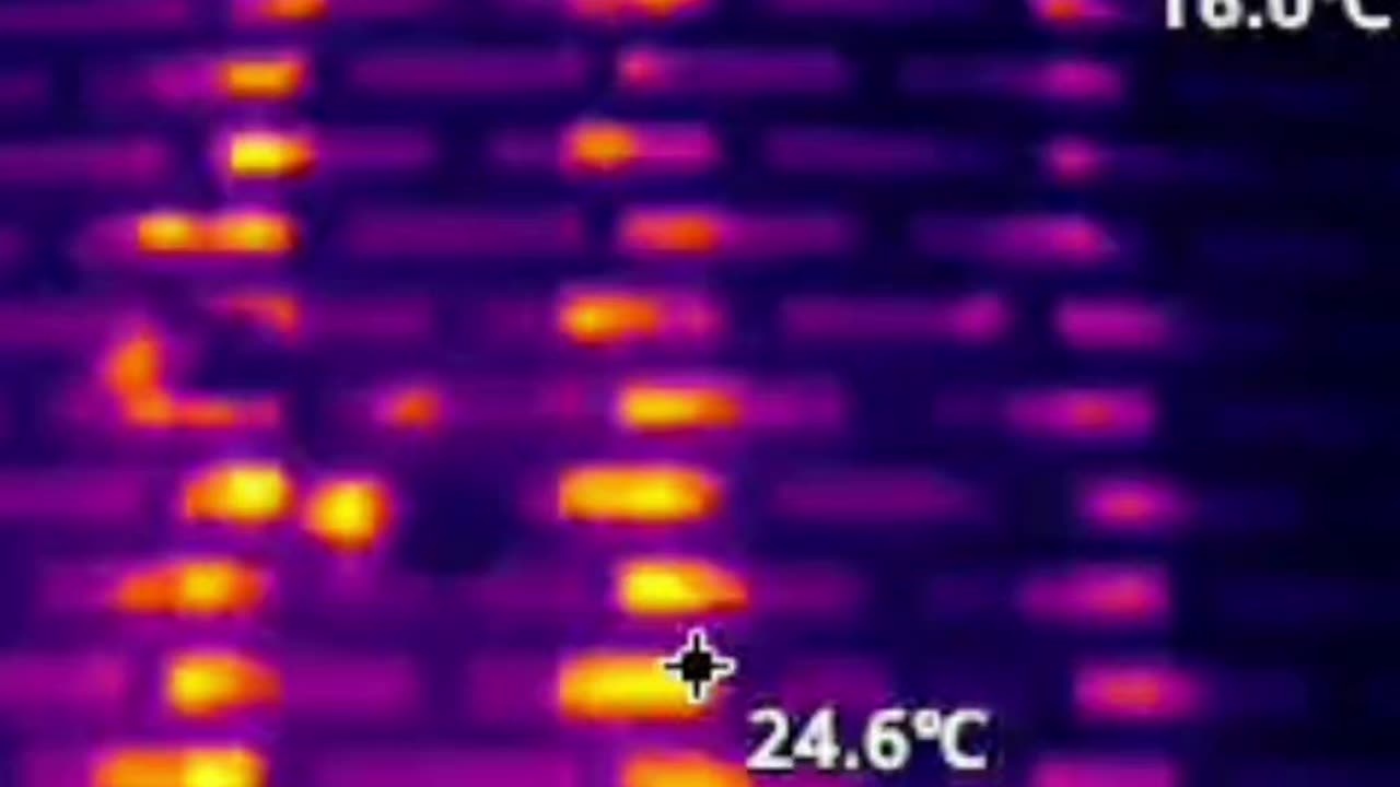 Thermal Imaging of Bees - 16.07.24