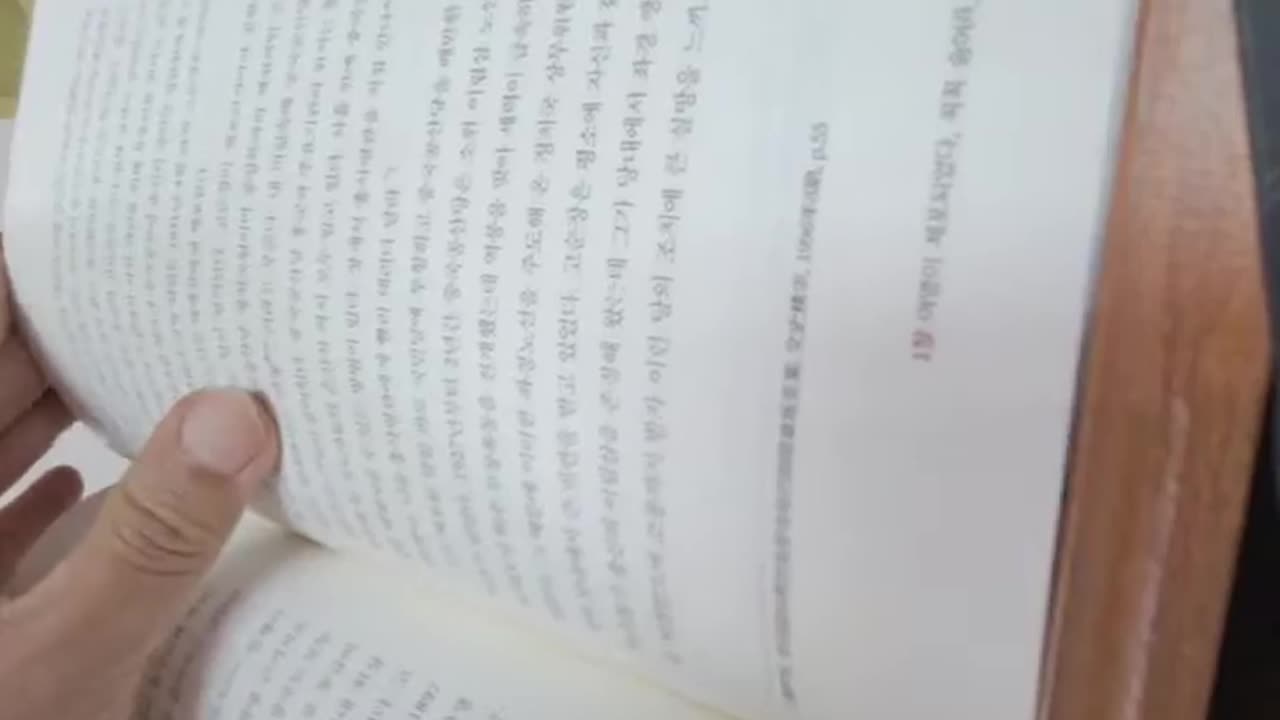 중국공산당의 스파이전쟁,홍윤표,여명이체포되었다,꼭꼭숨어라,전장비,번화가,중산대로,회사,정원실업사,중앙조직부,당무조사과,위장조직,사무실,서류,일본책,서은중,호북성성장,하성준