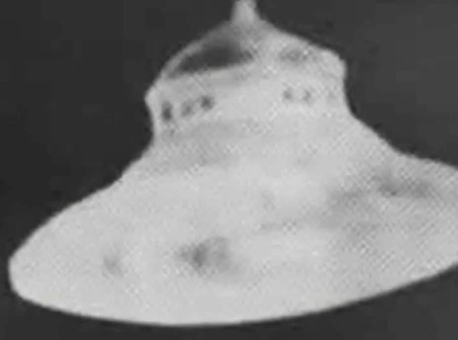 1956 UFO Pictures by Howard Menger are same as those clicked by George Adamski btwnn1946 & 1965?!?!?