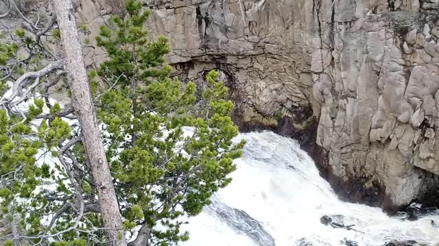 Gibbon Falls/ Yellowstone National Park