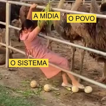 Alessandro Loiola,MD e Escritor (TeleGram) Sistema - Mídia - Povo (2023,8,14) 👀☢️🔥