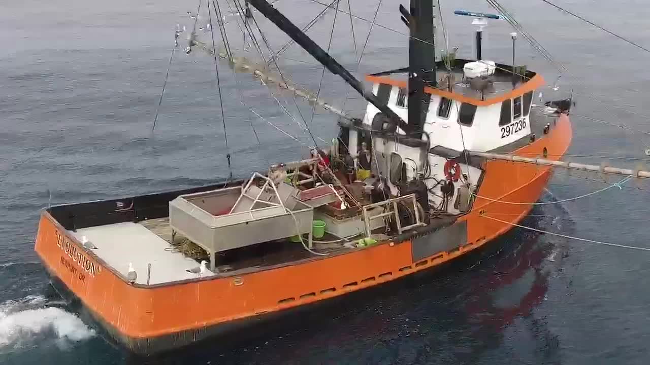 Shrimping off of Oregon coast