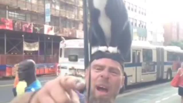 MEEEOOWWW