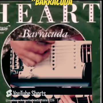 Isamu’s Heart Barracuda