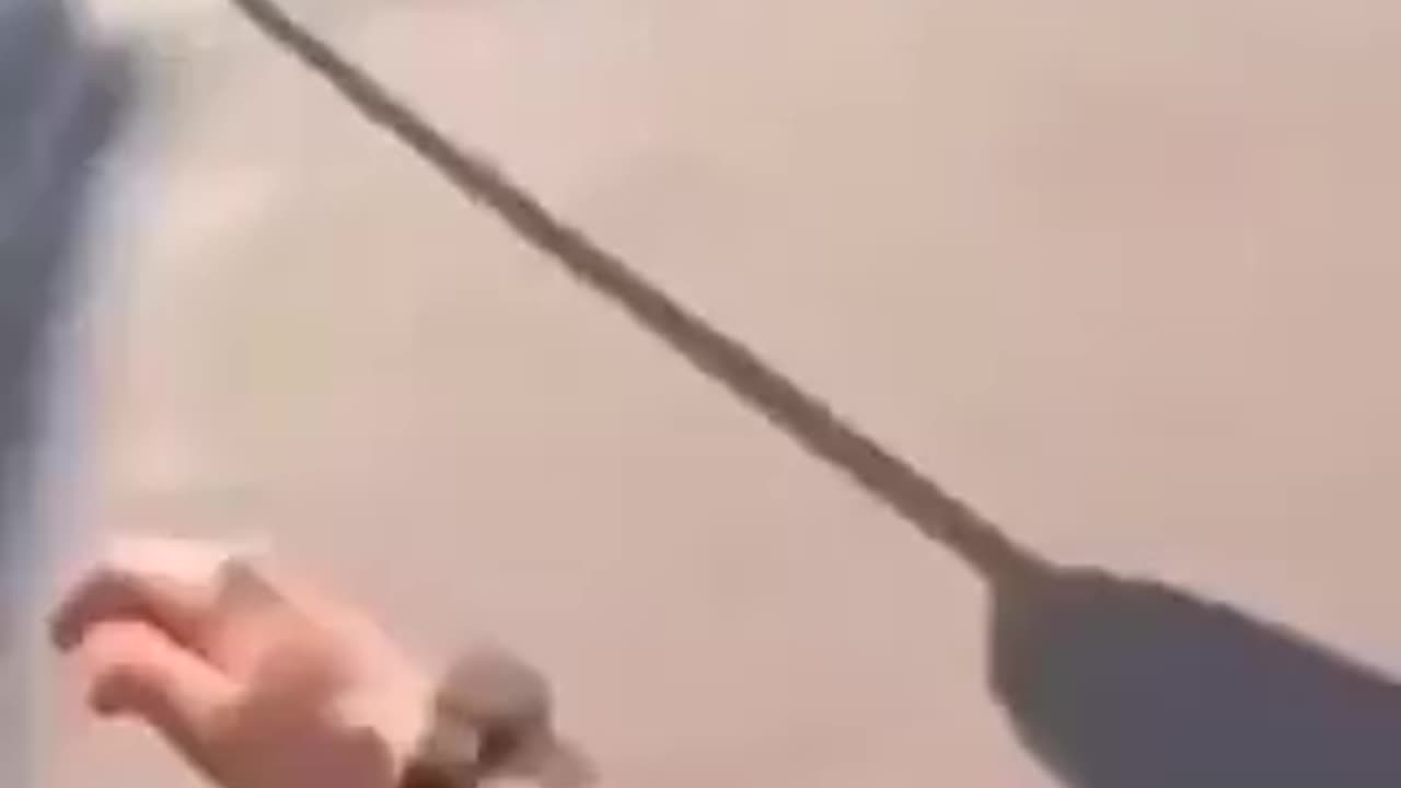 Parkour pra quem é do corre 🤳