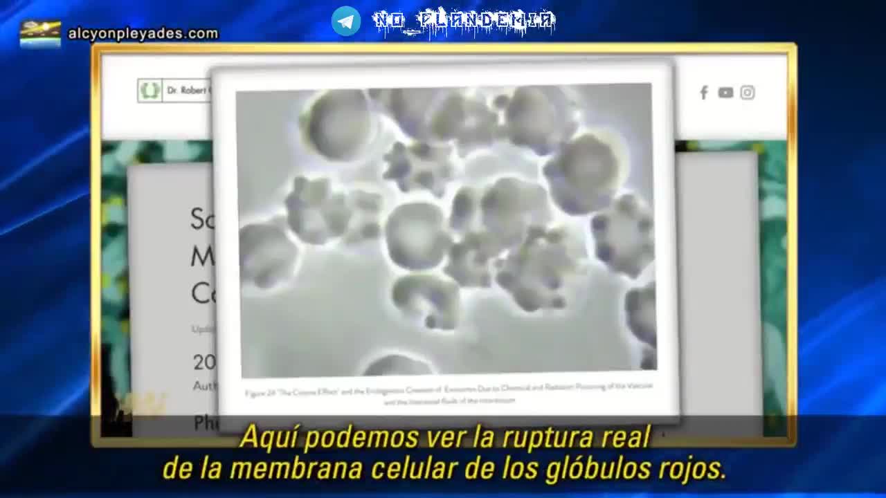 THE DEATH VAX IS GENOCIDE