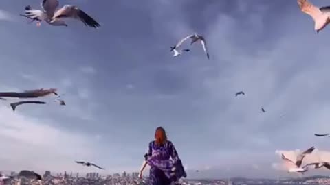 Life is a Celebration Live it Free #shorts #viral #shortsvideo #video