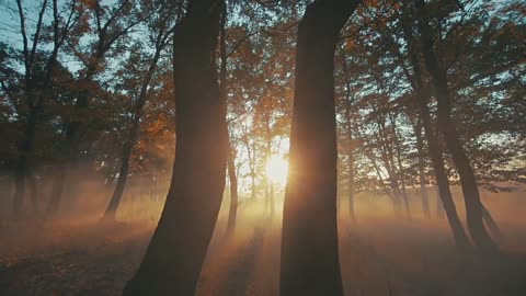 Record the most beautiful moment in nature #3