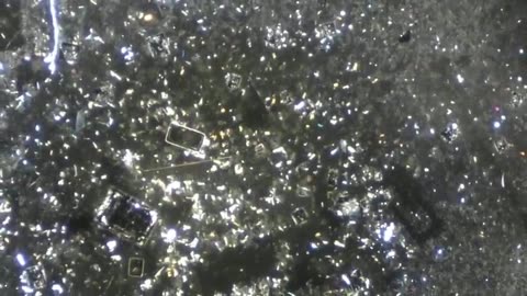 dr david nixon's findings in the so called vaccines..