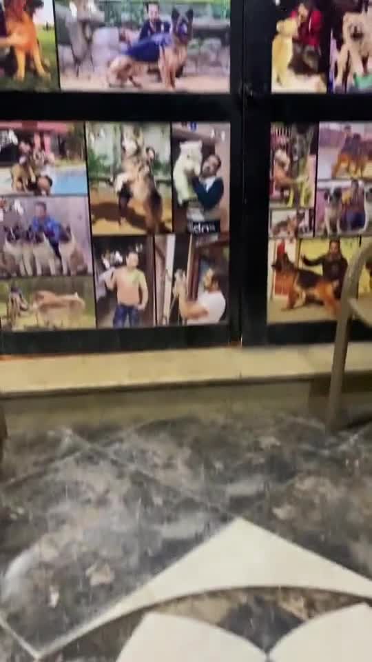 WOW The most beautiful view you can see and in your life