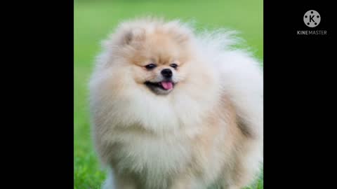 Read the Bible with me. Luke 24 NCV