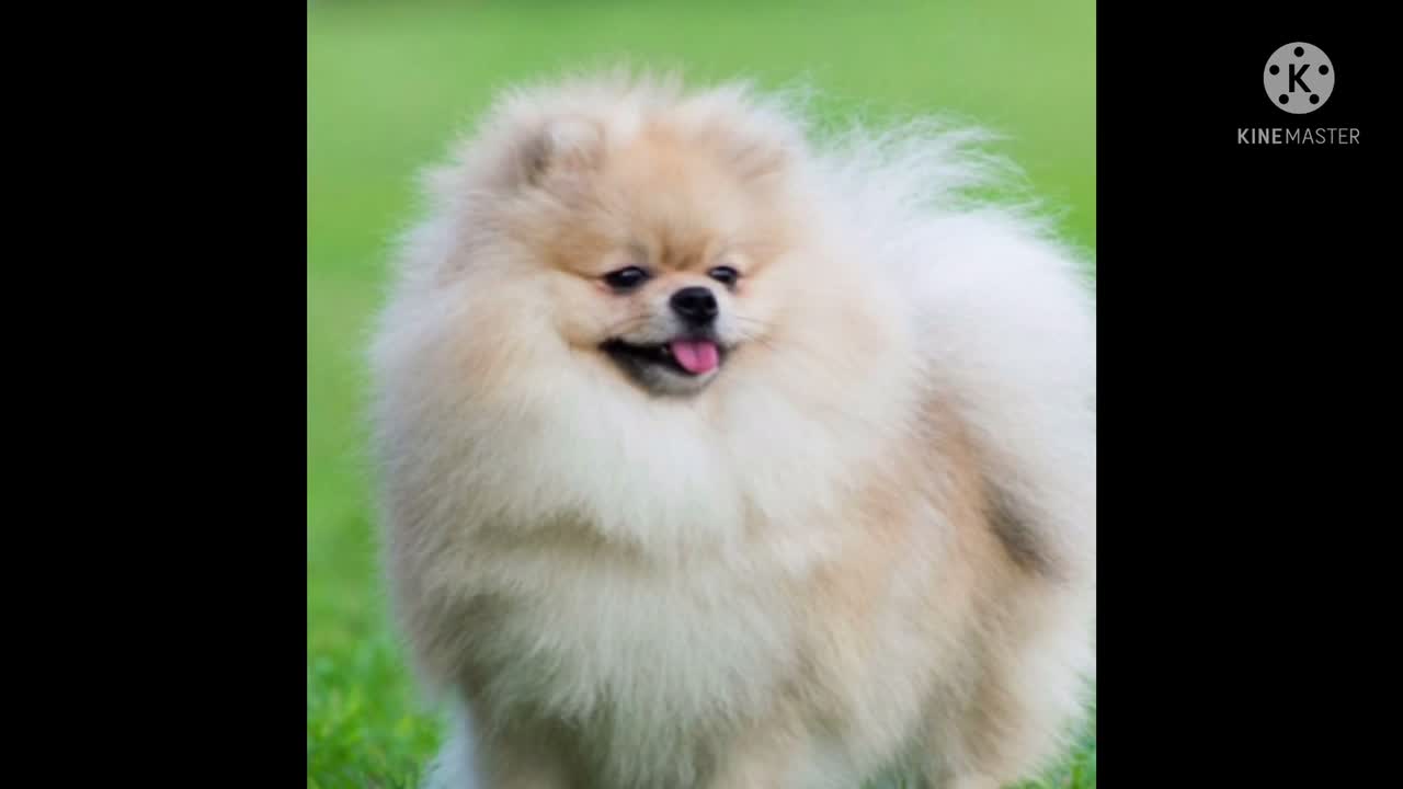 Read the Bible with me. Luke 24 NCV