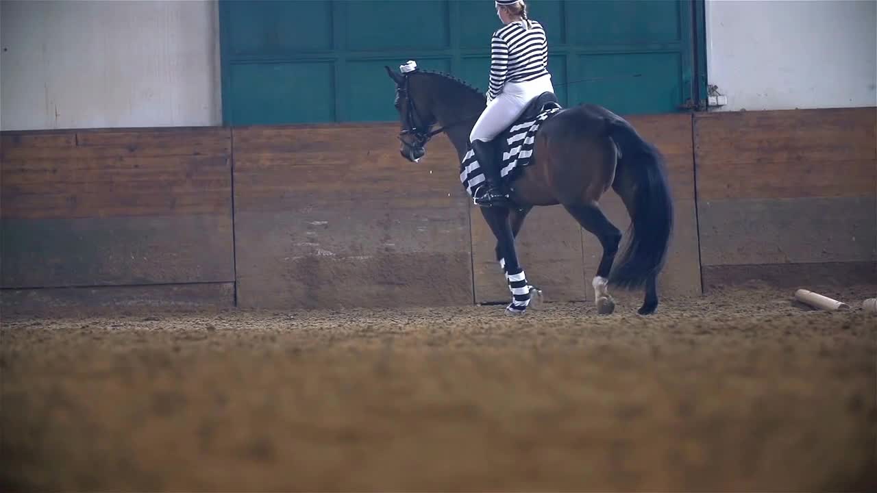 Low Angle Shoot of Horse Riding In Slow Motion