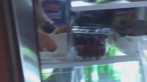 Hiding in the fridge