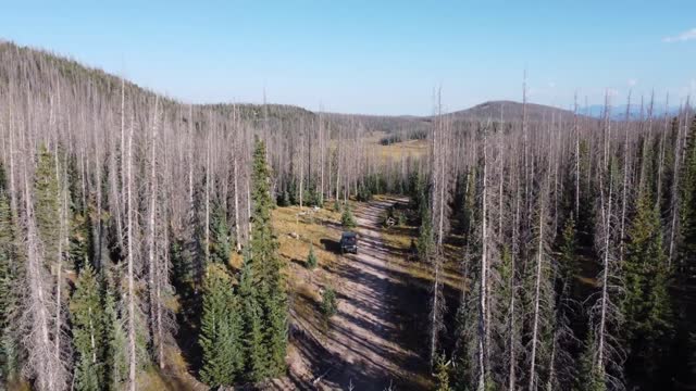 South Fork Colorado trip, 2021