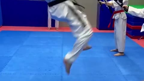 Takwando kicks