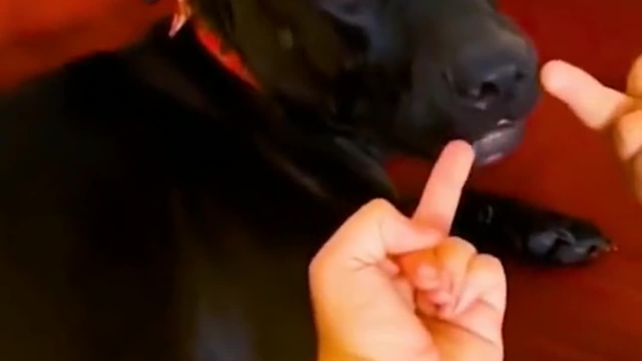 How to get the most out of the most