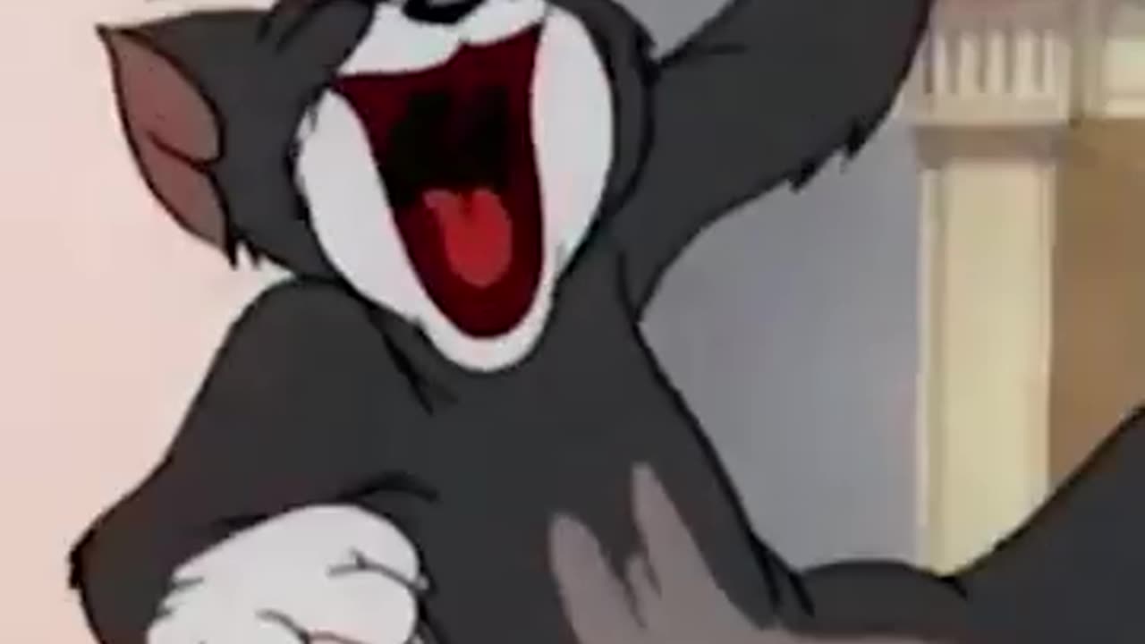 Funny video Tom and Jerry cartoon videos