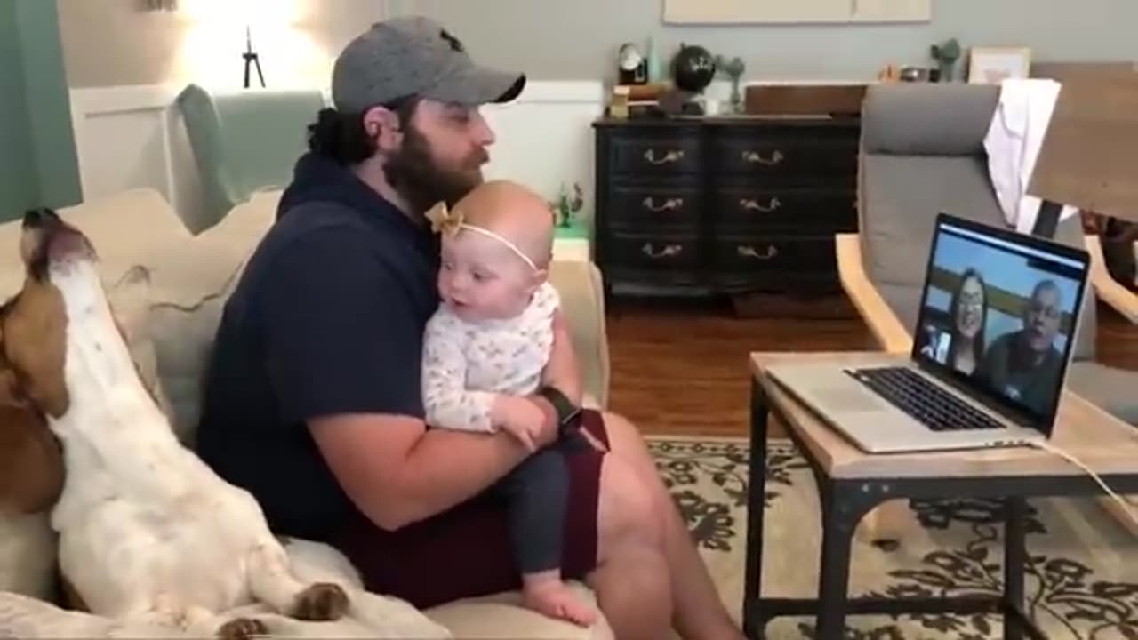 Sweet babies playing with cats and dogs