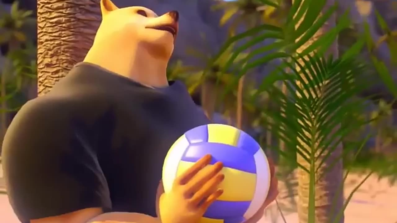 Banana Cat and Volleyball