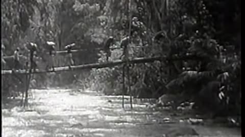 The Beast of Borneo - Full JUNGLE ADVENTURE Movie 1934