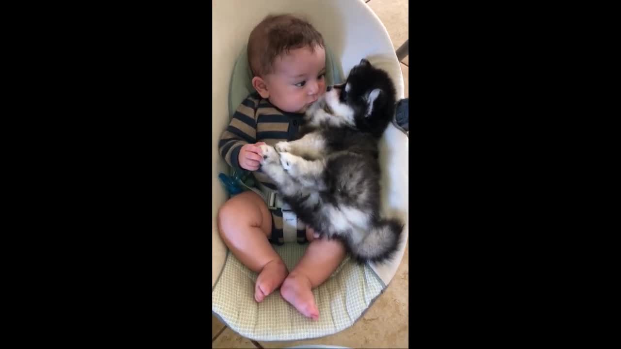 Adorable Baby Cuddles With Husky Puppy in Rocker