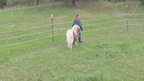 Follow your master at Liberty - Nora (10) and Elle (nearly 1) - 8 May 2023