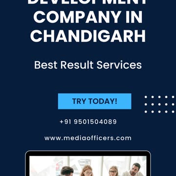 Professional Web Development Company in Chandigarh