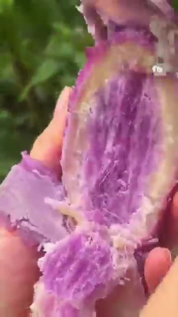 Chinese amazing watermelon 🍉#fruit #shorts #fyp #fypシ #chinese (1)