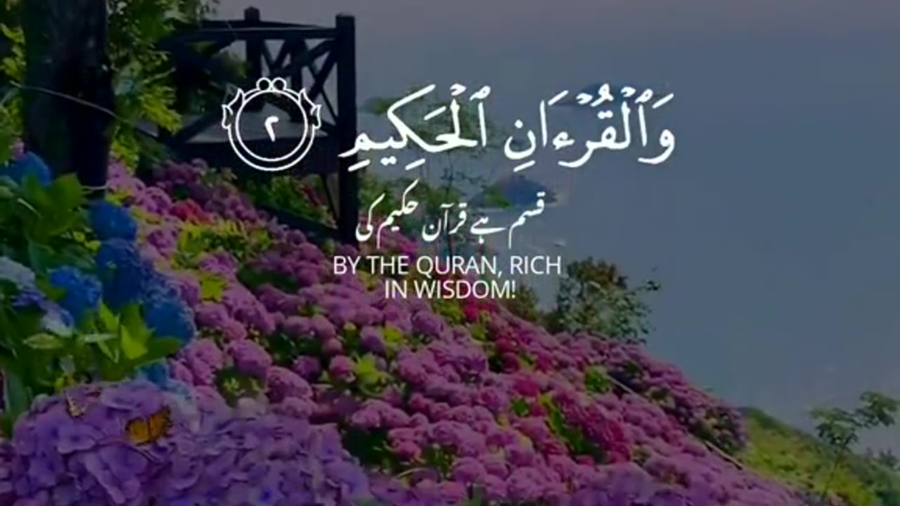 AL Quran