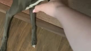 Num num