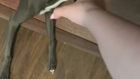 Num num