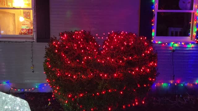 CHRISTMAS LIGHTS 2022