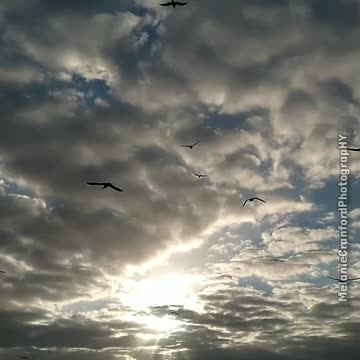 Happy Friday - December 2nd 2022