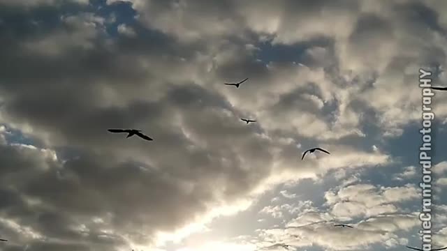 Happy Friday - December 2nd 2022