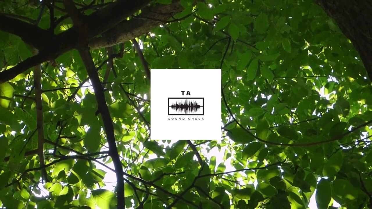 Birds Singing | Calm River | Nature Ambient Sound - @tasoundcheck2022