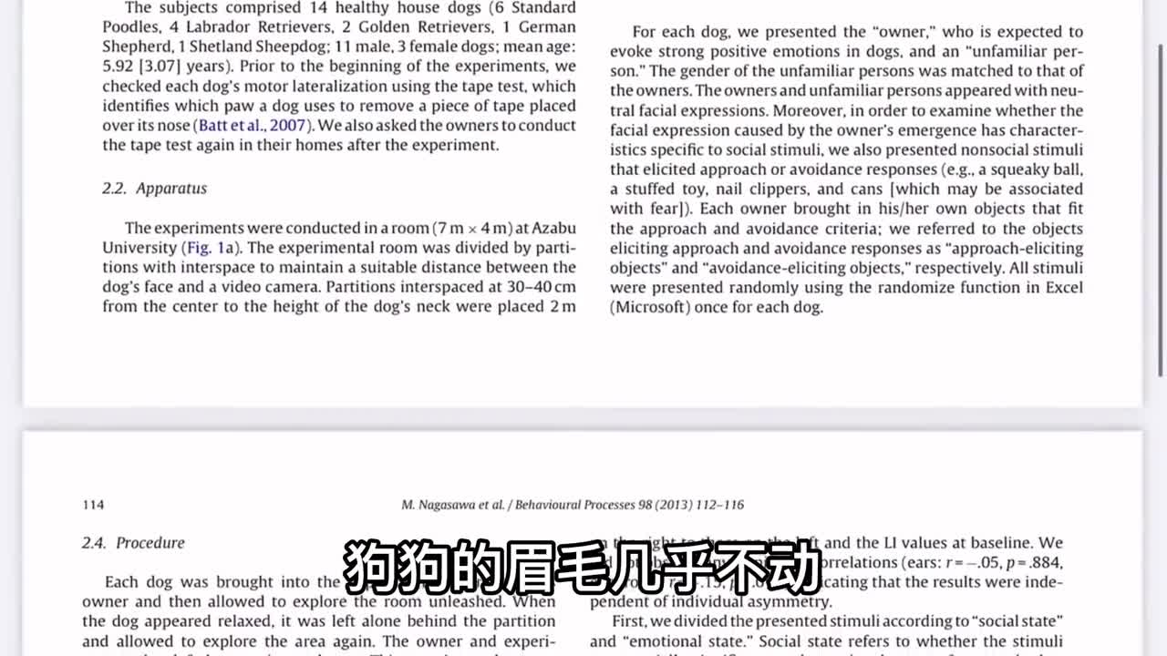 How can the dog understand that the master loves him