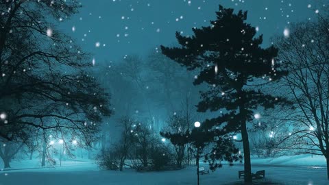 Snow Winter Nature Relaxing