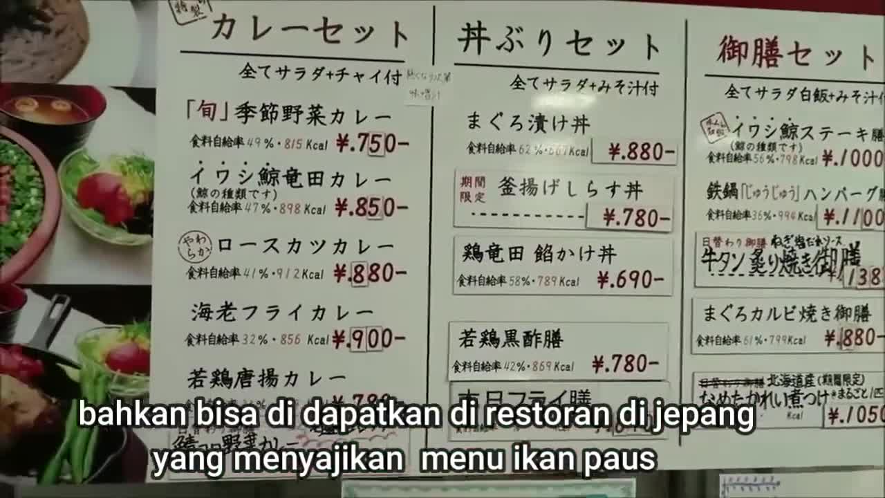 Proses pemotongan ikan paus terbesar dan cara penangkapan nya - skill memotong ikan paus