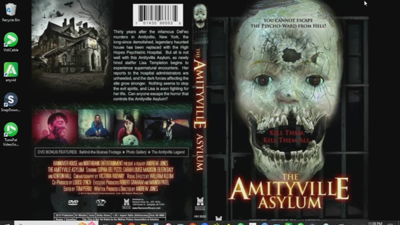 The Amityville Asylum Review