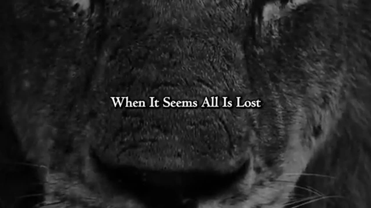 #theres always a right time for all